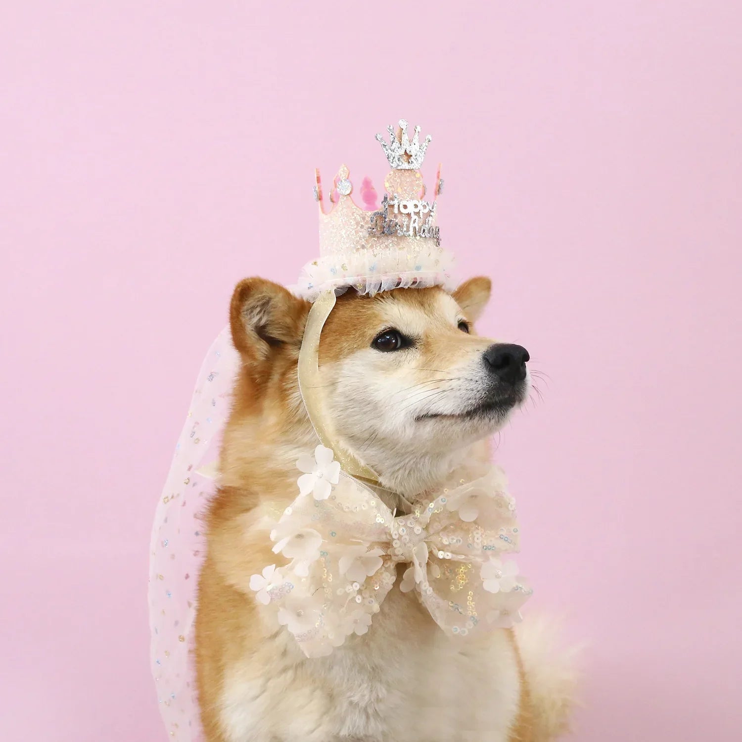 Pet Dog Birthday Party Dog Hat Candy Color Dot Lace Cat Bib Suit Cute Small Medium Dogs Costume Cap Pet Products Accessories Lootquake LLC