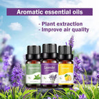 Natural Herb Essential Oils for Aroma Diffuser Air Humidifier Home Water-soluble 10ml Air Freshener Scents Fragrance Oil Perfume Lootquake LLC