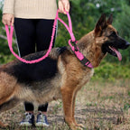 The Tactical Luxe Collar & Leash Fashioned Furbabies
