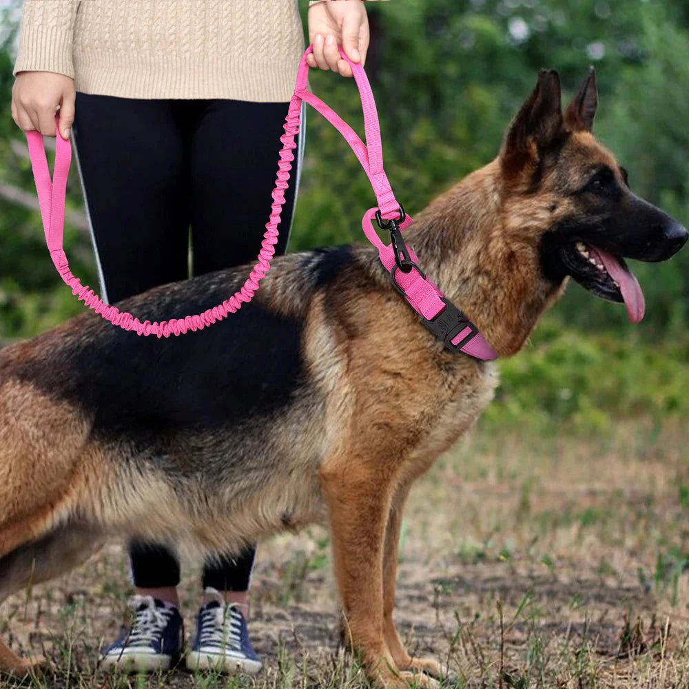 The Tactical Luxe Collar & Leash Fashioned Furbabies