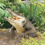 Creative White Shark Garden Art Statue Resin Lifelike White Shark Head Crocodile Sculpture Wall Hanging Home Yard Garden Decor