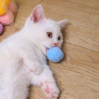 12Pcs/lot Funny Cat Toys Stretch Plush Ball Toys for Cats Colorful Interactive Cat Pom Pom Kitten Toy Pet Supplies  Plush Balls for Training and Kitten Play Stevvex
