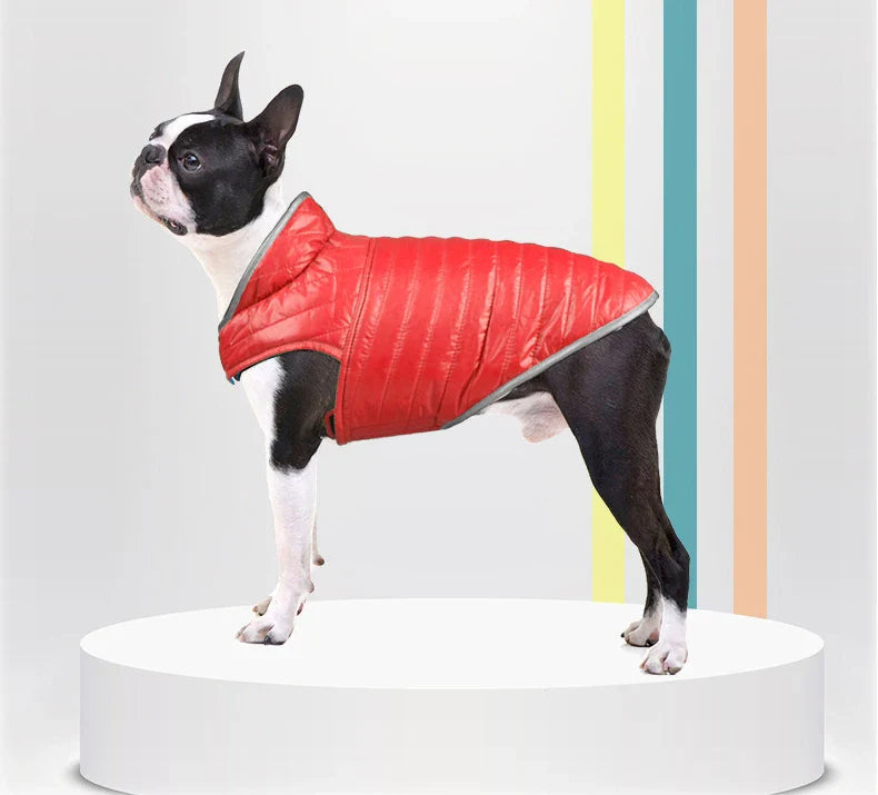 Double Sided Dog Coat Winter Warm Pet Dog Clothes For Small Medium Dogs Vest Chihuahua Clothing Soft Puppy Costumes Ropa Perro Lootquake LLC