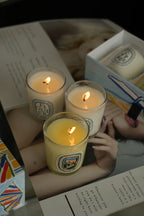 Aromatherapy Candle Natural Plant Scented Candles French Fragrance Fresh And Elegant Lasting Air Companion Aroma Gift Lootquake LLC