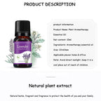 Natural Herb Essential Oils for Aroma Diffuser Air Humidifier Home Water-soluble 10ml Air Freshener Scents Fragrance Oil Perfume Lootquake LLC