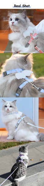 Cat Harness Wings Pet Harnesses And Leashes Set Adjustable Pet Harness for Cats Small Dogs Pug Chihuahua Cat Accessories Lootquake LLC