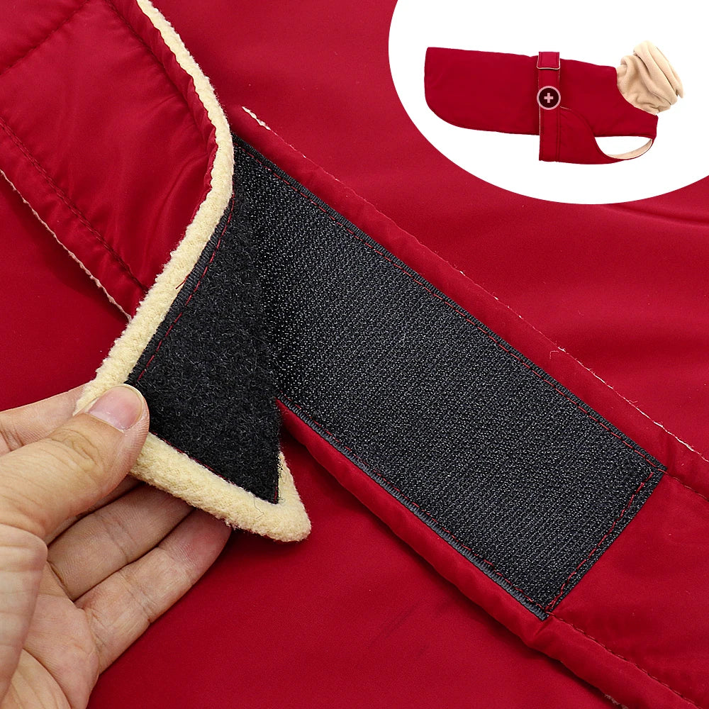 Arctic Paws: Cozy Waterproof Jacket for Big Dogs THRIXINE