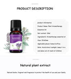 Natural Herb Essential Oils for Aroma Diffuser Air Humidifier Home Water-soluble 10ml Air Freshener Scents Fragrance Oil Perfume Lootquake LLC