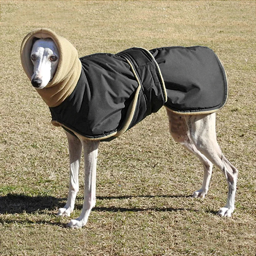 Arctic Paws: Cozy Waterproof Jacket for Big Dogs THRIXINE