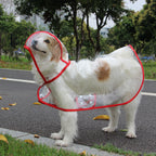 Pet Supplies Dog Raincoat Waterproof New Transparent Plastic Fashion Poncho Personalized Color Edge Costumes for Large Dogs Lootquake LLC