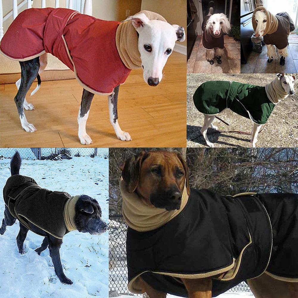 Arctic Paws: Cozy Waterproof Jacket for Big Dogs THRIXINE