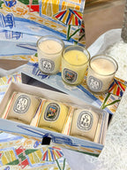 Aromatherapy Candle Natural Plant Scented Candles French Fragrance Fresh And Elegant Lasting Air Companion Aroma Gift Lootquake LLC