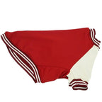 Big Dog Baseball Suit Fashioned Furbabies