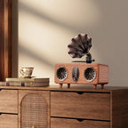 AS36 Bluetooth Speaker Features High-Quality Retro Multi-Functional FM Radio High-Volume Wireless Audio System Subwoofer Gift Lootquake LLC