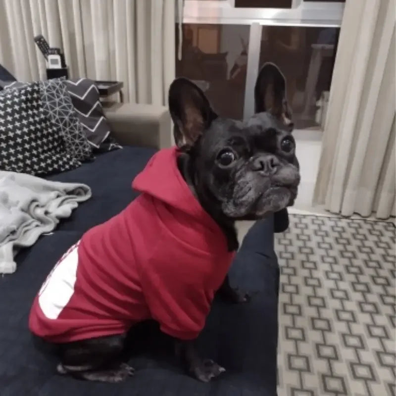 Pet Dog Hoodies The Dog Face - SJB-DIAMOND ELITES