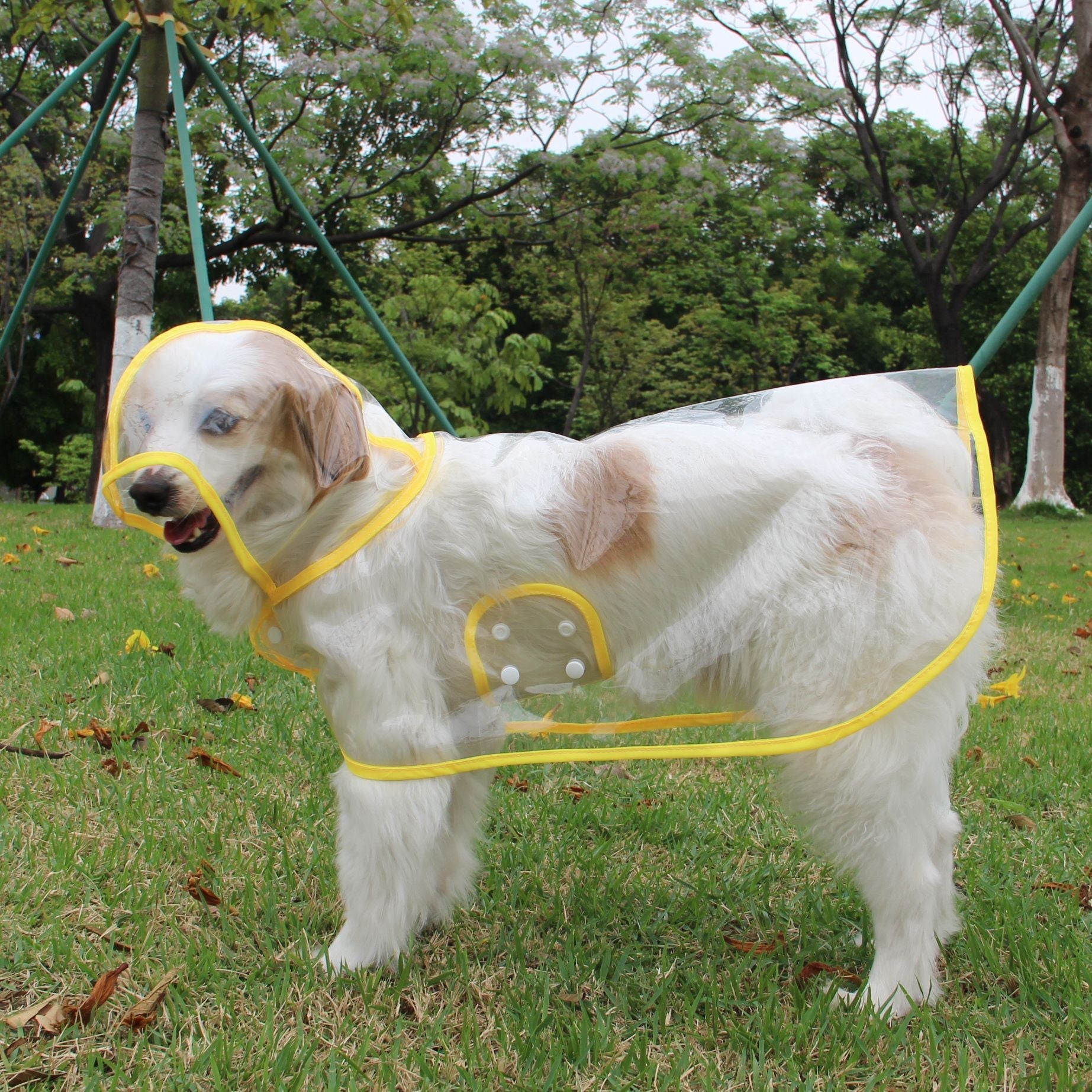 Pet Supplies Dog Raincoat Waterproof New Transparent Plastic Fashion Poncho Personalized Color Edge Costumes for Large Dogs Lootquake LLC