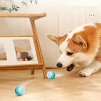 Smart Cat Rolling Ball Toys Rechargeable Cat Toys Ball Motion Ball Self-moving Kitten Toys for Indoor Interactive Playing Smart Interactive Cat Ball USB Rechargeable Automatic Bouncing Ball for Indoor Kittens Stevvex