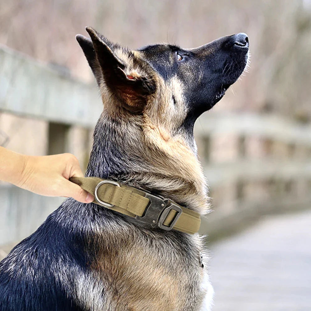 The Tactical Luxe Collar & Leash Fashioned Furbabies