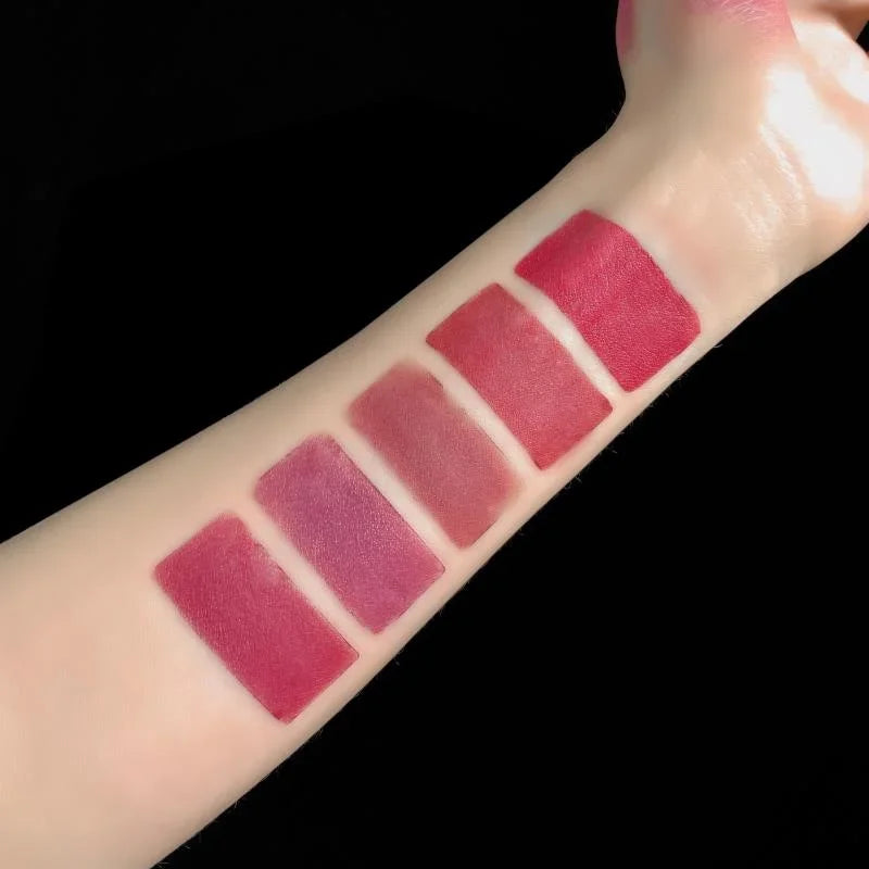 5 in 1 Lipstick Set Lightweight Matte Velvet Long Lasting Combination Lipstick Nourish Moisturizing Professional Lipliner Makeup Lootquake LLC