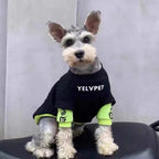 Pet Hoodies for Dogs Cats Solid Montage Puppy Clothing THRIXINE