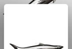 Stainless steel fish sculpture, outdoor lawn, pool, landscape decoration, mirror, crafts
