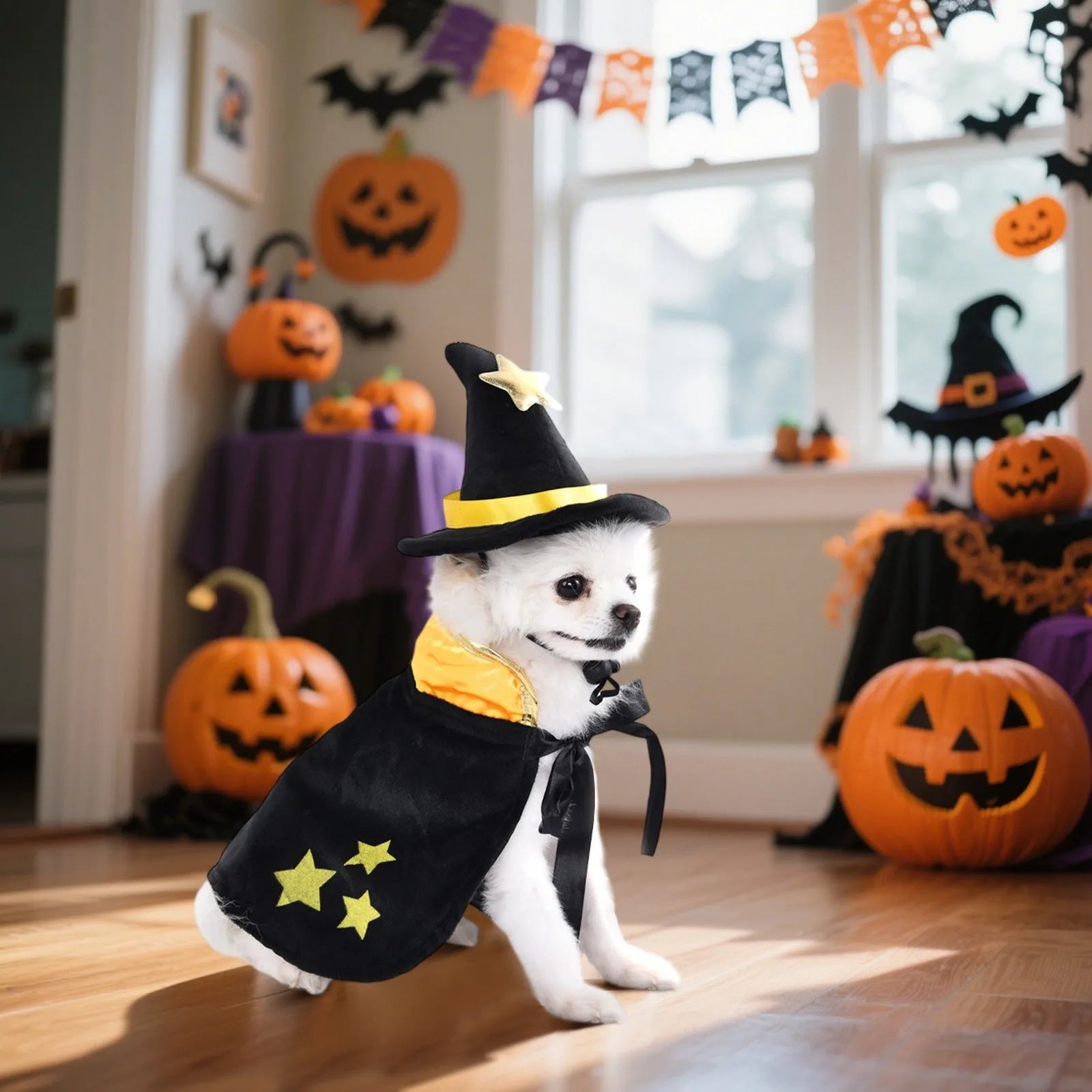 Dogs Cape Set with Hat