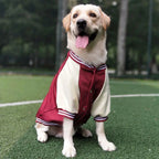 Big Dog Baseball Suit Fashioned Furbabies