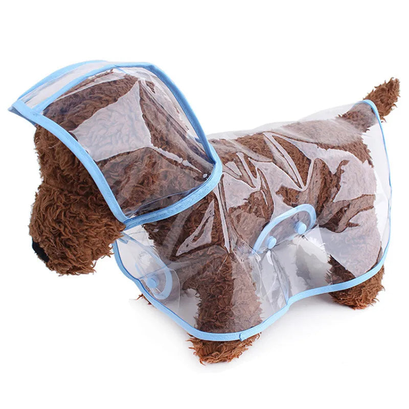 Pet Supplies Dog Raincoat Waterproof New Transparent Plastic Fashion Poncho Personalized Color Edge Costumes for Large Dogs Lootquake LLC