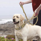 The Tactical Luxe Collar & Leash Fashioned Furbabies