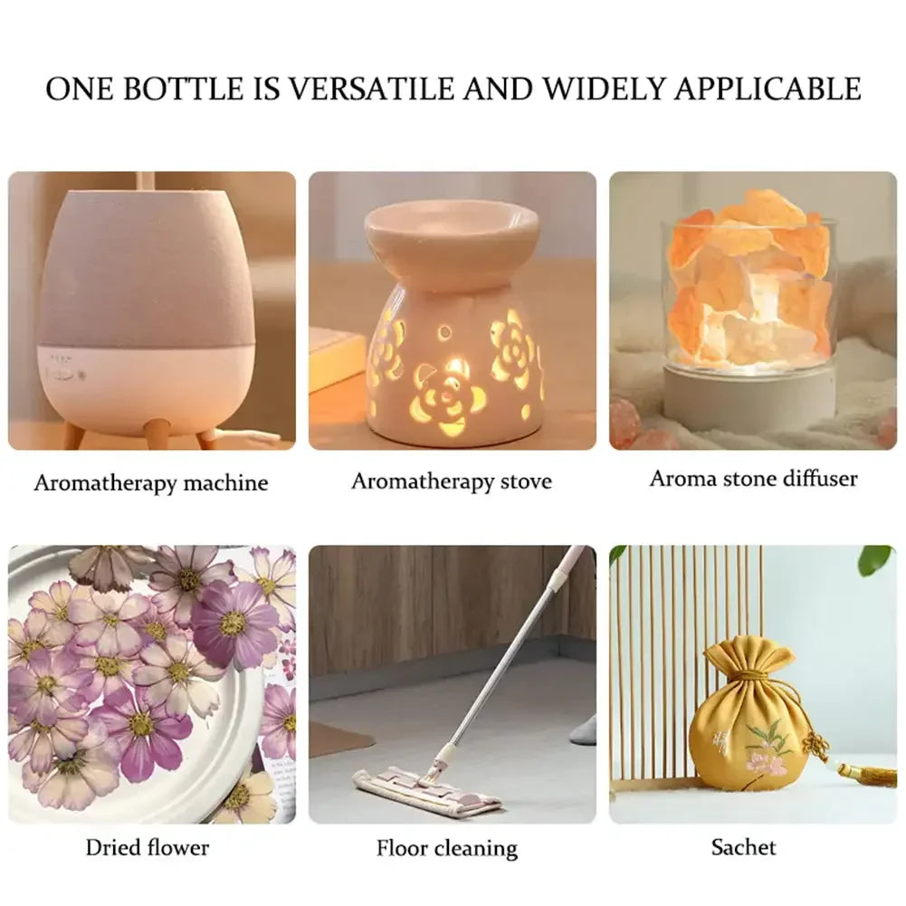 For Household Car Office Aromatherapy Ornaments Gifts Universal 10ML Air Freshener Natural Plant Fragrance Humidifier Lootquake LLC