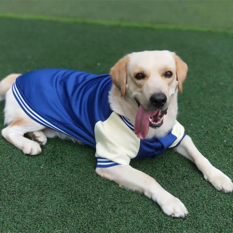 Big Dog Baseball Suit Fashioned Furbabies