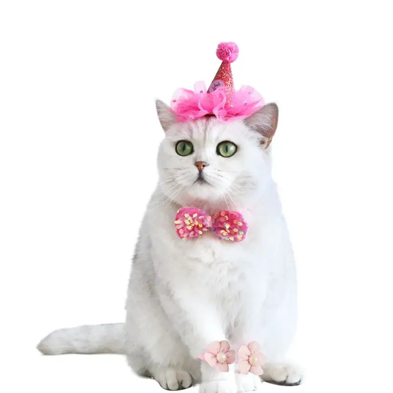 Pet Dog Birthday Party Dog Hat Candy Color Dot Lace Cat Bib Suit Cute Small Medium Dogs Costume Cap Pet Products Accessories Lootquake LLC