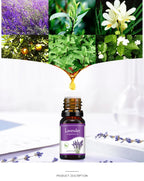 Natural Herb Essential Oils for Aroma Diffuser Air Humidifier Home Water-soluble 10ml Air Freshener Scents Fragrance Oil Perfume Lootquake LLC