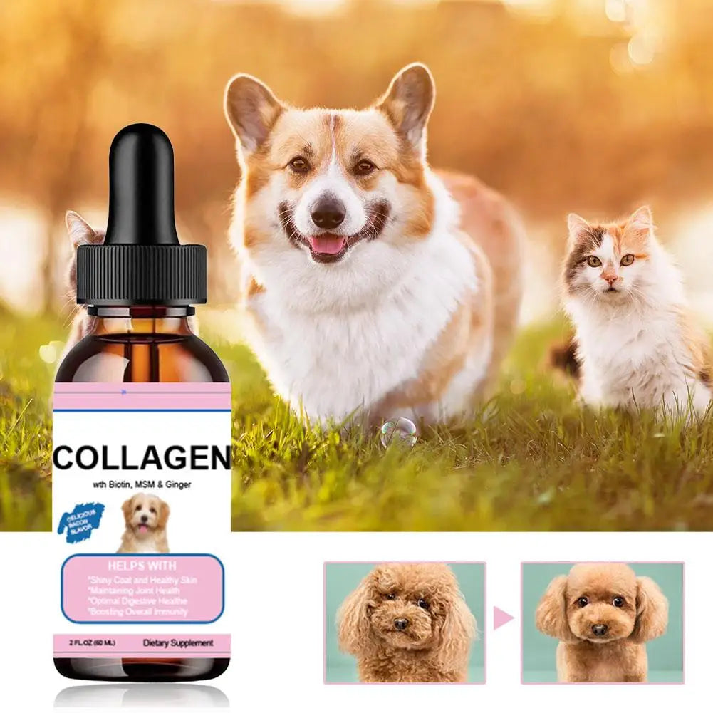 Pet Collagen Drops For Dogs And Cats Healthy Nutritional Supplement Protect Coat Enhance Body Condition Pet Nutritional Solution Lootquake LLC