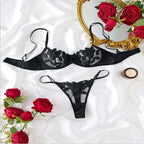 Tornova Sexy Lingerie Woman Lace Transparent Underwear Embroidery Brief Set Bra Kit Push Up Breves Sets Thin Erotic Bras New