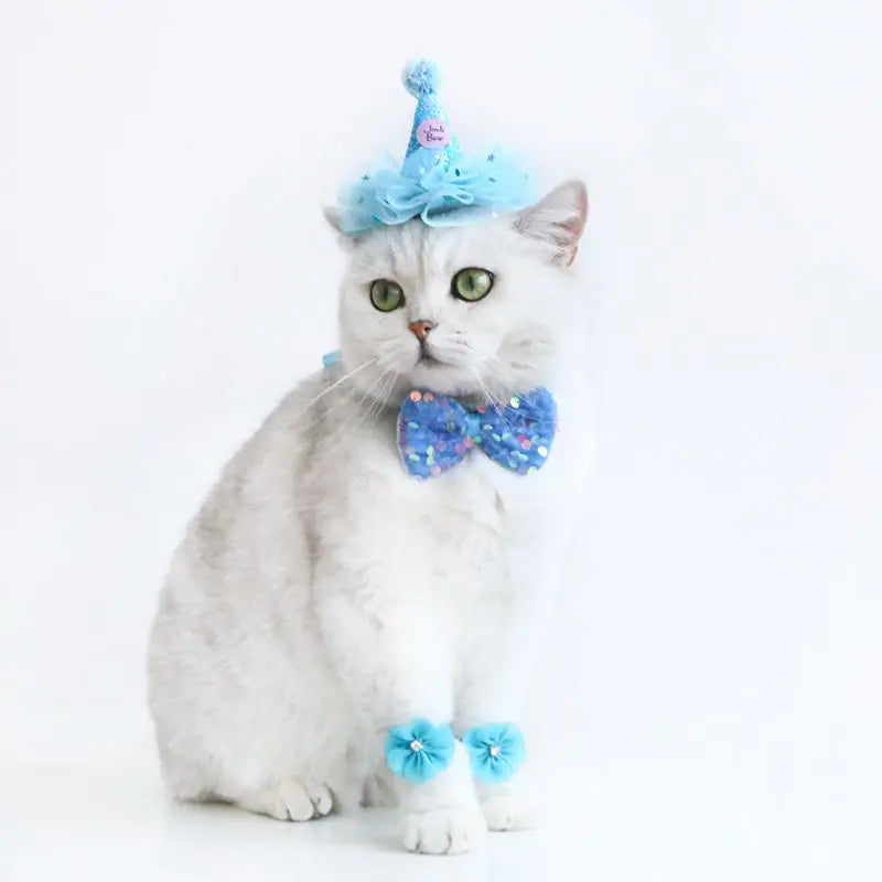 Pet Dog Birthday Party Dog Hat Candy Color Dot Lace Cat Bib Suit Cute Small Medium Dogs Costume Cap Pet Products Accessories Lootquake LLC