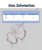 Cat Harness Wings Pet Harnesses And Leashes Set Adjustable Pet Harness for Cats Small Dogs Pug Chihuahua Cat Accessories Lootquake LLC