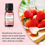 EUQEE 10ML Coconut Vanilla Bubble Gum Fragrance Oil For Making Candle, DIY Soap Coffee Cake Cedarwood Premium Aroma Oils Lootquake LLC
