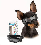 Pet UV Goggles: Cool Eyewear for Dogs & Cats