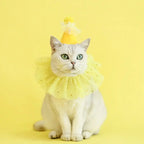 Pet Dog Birthday Party Dog Hat Candy Color Dot Lace Cat Bib Suit Cute Small Medium Dogs Costume Cap Pet Products Accessories Lootquake LLC