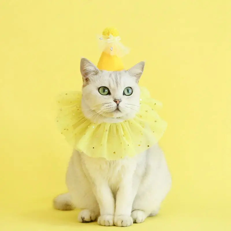 Pet Dog Birthday Party Dog Hat Candy Color Dot Lace Cat Bib Suit Cute Small Medium Dogs Costume Cap Pet Products Accessories Lootquake LLC