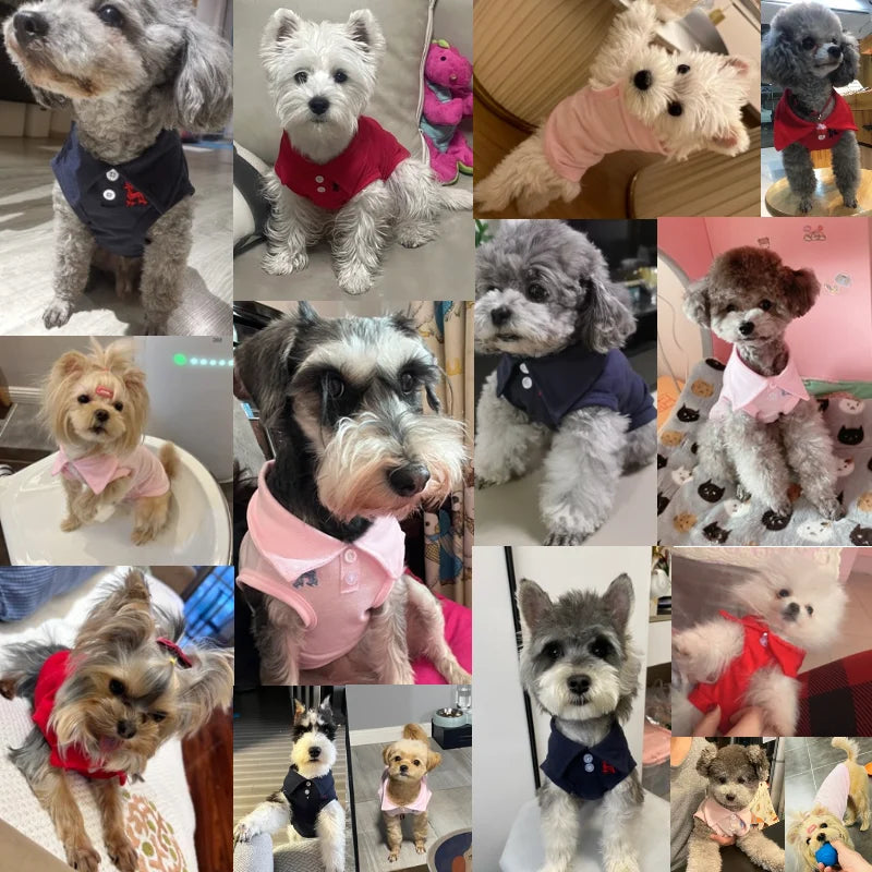 New Pet Dog Polo Shirt Dog Cool Clothes Soft Breathable Yorkie Chihuahua Puppy Clothes Dog Vest for Small Medium Dogs Costumes Lootquake LLC