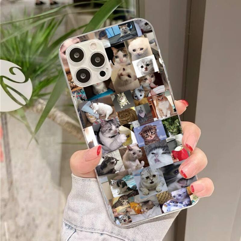 Crying Cat Memes Phone Case Mask Colorful Case For Cat Lovers For Iphone 7 And 8 In Moedern Design Stevvex