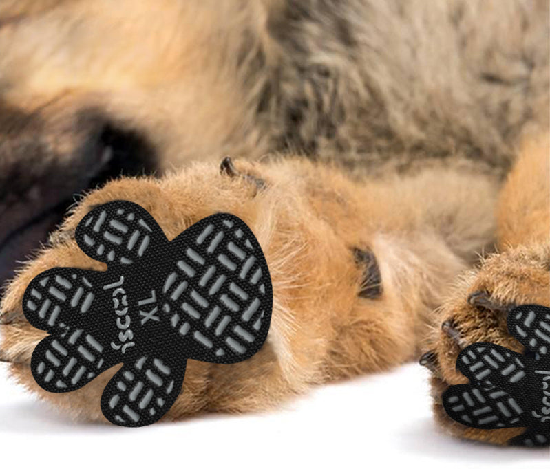 4PCS Dog Anti Slip Pad Breathable Foot Pad Disposable Pet Foots Mat Prevent Slip Waterproof Protector Avoid Dogs Slipping Lootquake LLC