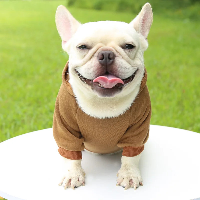 Chapter One Dogs Hood - Warm Winter Hoodie Fashioned Furbabies