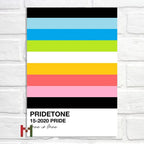 Abstract Pride Art Canvas Print Wall Decor LGBT Home Art Pi-Mart