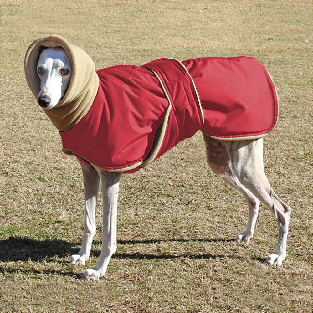 Arctic Paws: Cozy Waterproof Jacket for Big Dogs THRIXINE