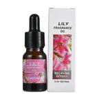 For Household Car Office Aromatherapy Ornaments Gifts Universal 10ML Air Freshener Natural Plant Fragrance Humidifier Lootquake LLC