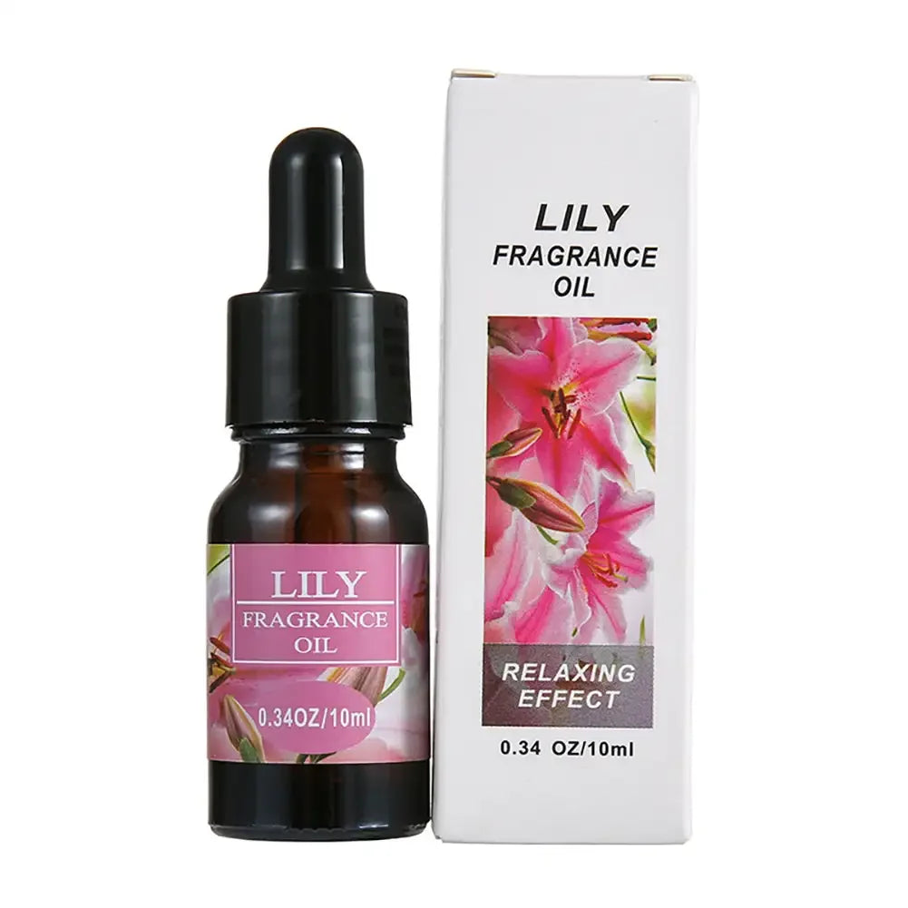 For Household Car Office Aromatherapy Ornaments Gifts Universal 10ML Air Freshener Natural Plant Fragrance Humidifier Lootquake LLC