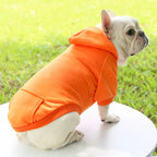 Chapter One Dogs Hood - Warm Winter Hoodie Fashioned Furbabies
